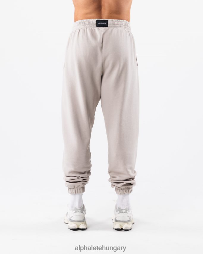 ruházat Alphalete földfesték grafikus jogger ezüstszürke egynemű 86B628455