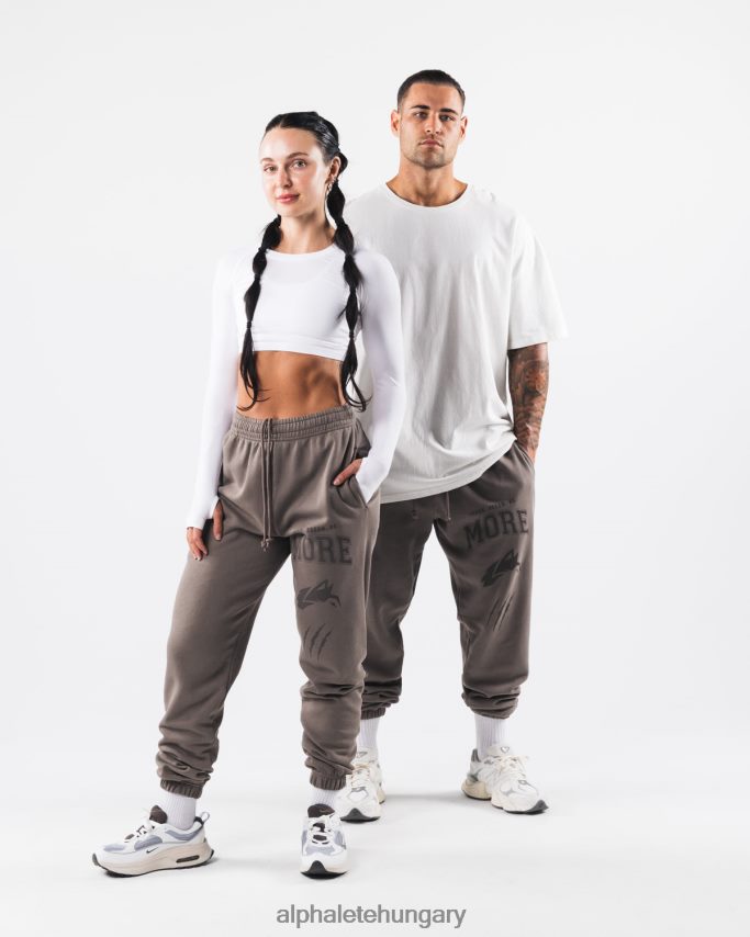 ruházat Alphalete földfesték grafikus jogger hamuszürke egynemű 86B628458