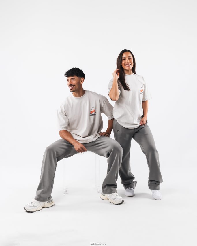 ruházat Alphalete címeres póló cementszürke egynemű 86B628177