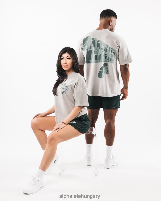 ruházat Alphalete dimenziós póló sötét ezüstszürke egynemű 86B628545