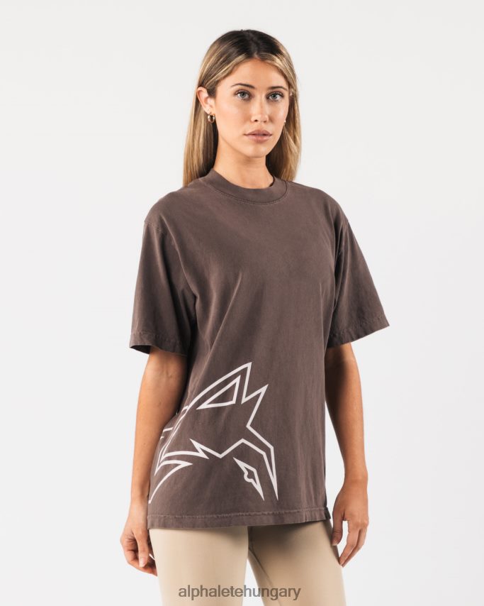 ruházat Alphalete óriás farkasfej póló szegfűszeg barna egynemű 86B628225