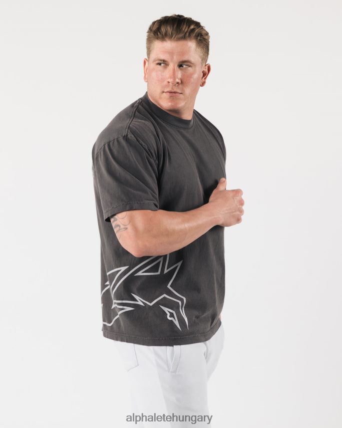 ruházat Alphalete óriás farkasfej póló vintage fekete egynemű 86B628226