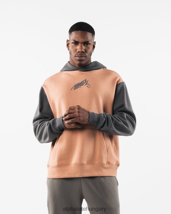 ruházat Alphalete stencil kapucnis pulcsi agyagbarna egynemű 86B628270