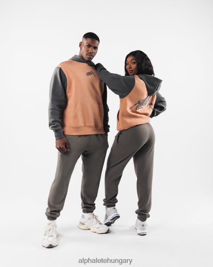 ruházat Alphalete stencil kapucnis pulcsi agyagbarna egynemű 86B628270