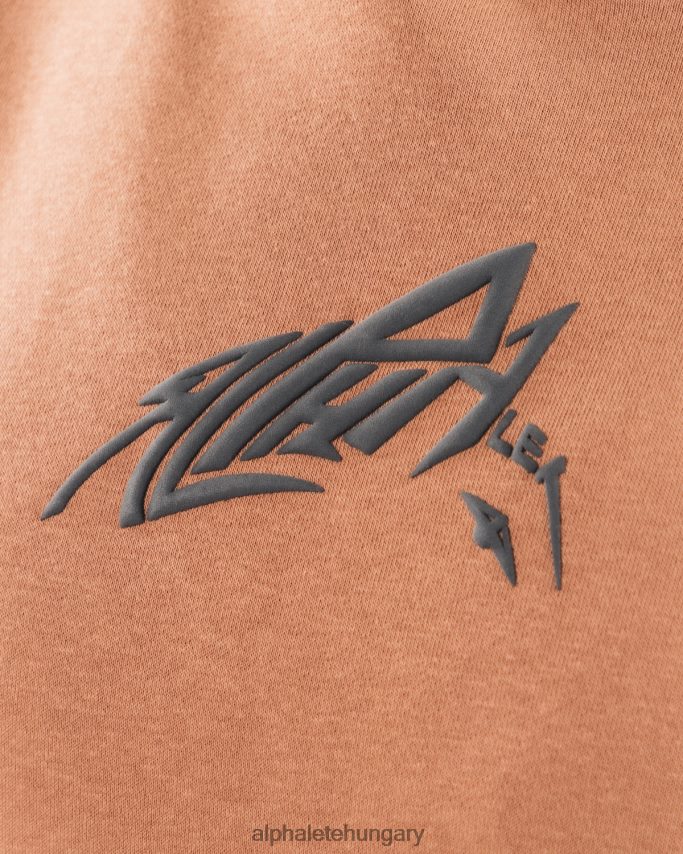 ruházat Alphalete stencil kapucnis pulcsi agyagbarna egynemű 86B628270