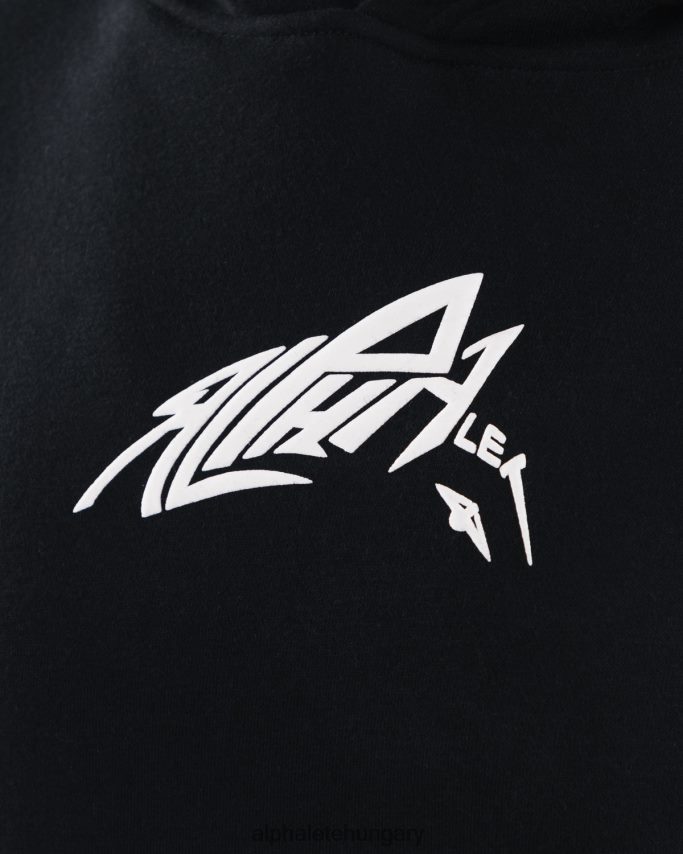 ruházat Alphalete stencil kapucnis pulcsi fekete egynemű 86B628272