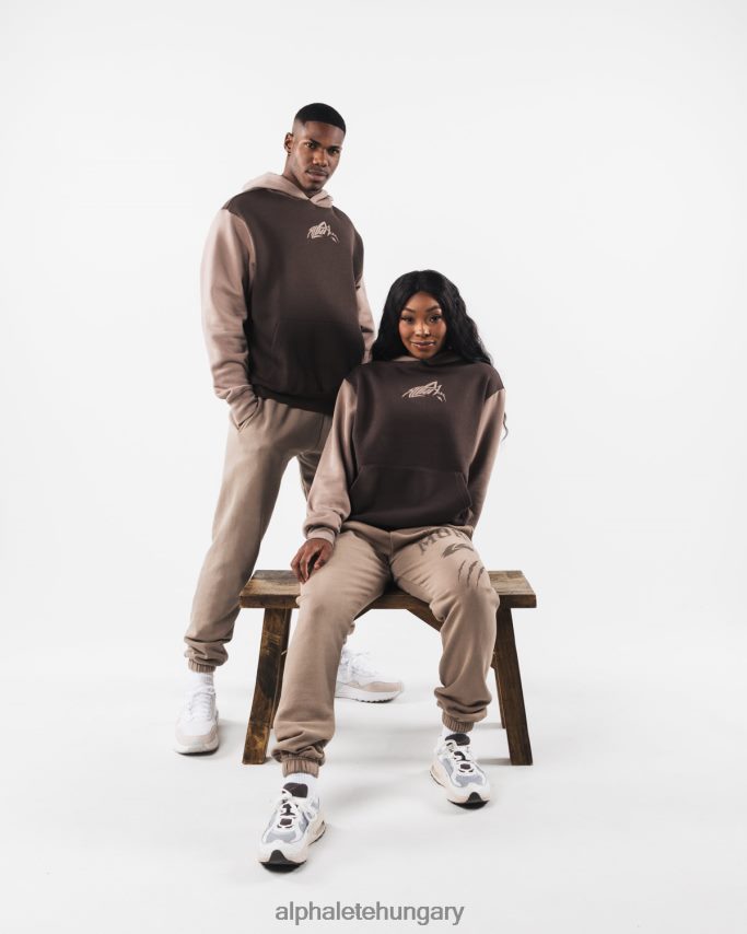 ruházat Alphalete stencil kapucnis pulcsi kasmírbarna egynemű 86B628271