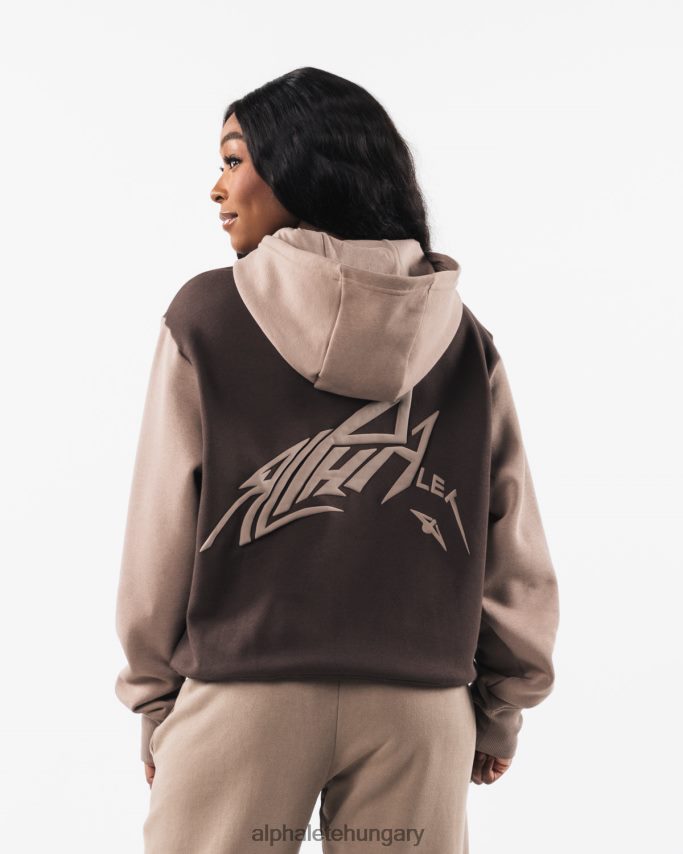 ruházat Alphalete stencil kapucnis pulcsi kasmírbarna egynemű 86B628271