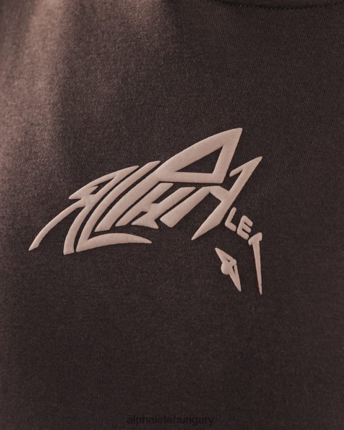 ruházat Alphalete stencil kapucnis pulcsi kasmírbarna egynemű 86B628271