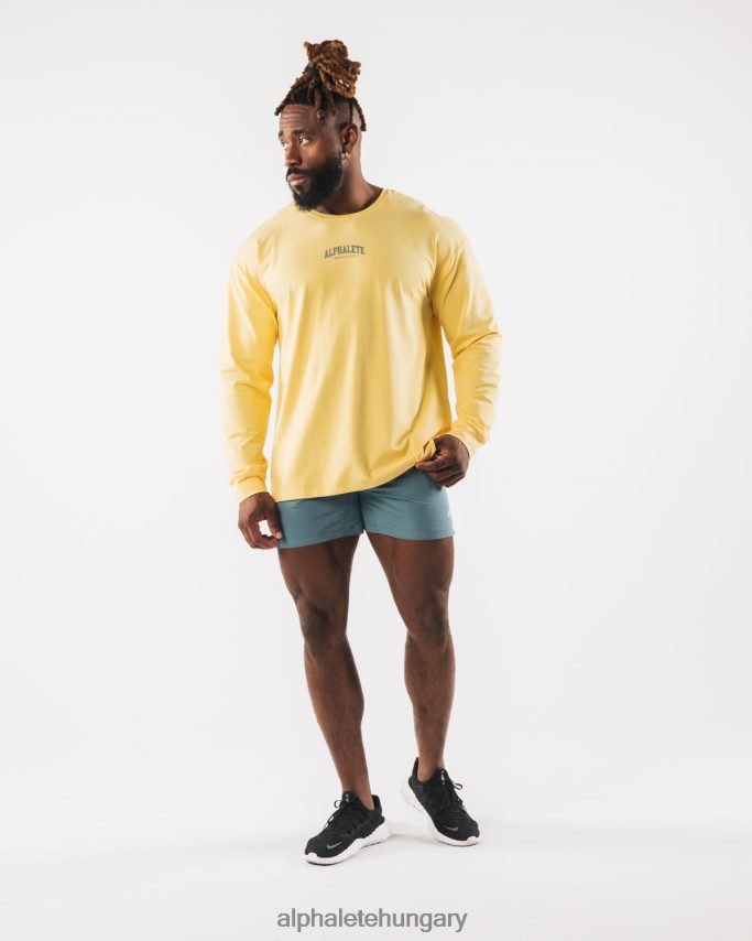 ruházat Alphalete aa paisley print ls póló sárga férfiak 86B628528