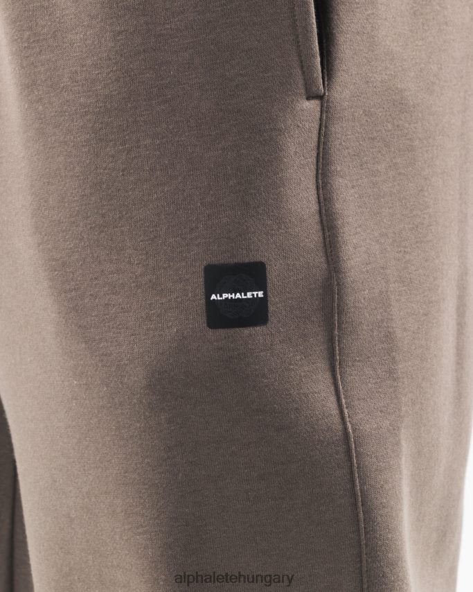 ruházat Alphalete akadémia laza kocogó sivatagi taupe barna férfiak 86B628720
