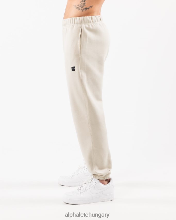 ruházat Alphalete akadémia laza kocogó tengeri kagyló barna férfiak 86B628719