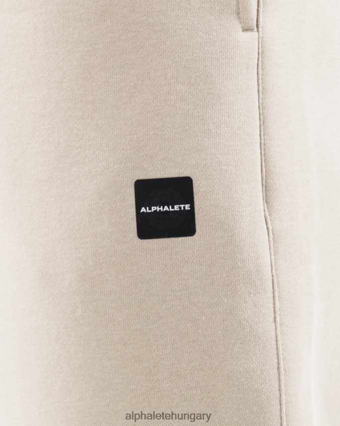 ruházat Alphalete akadémia laza kocogó tengeri kagyló barna férfiak 86B628719