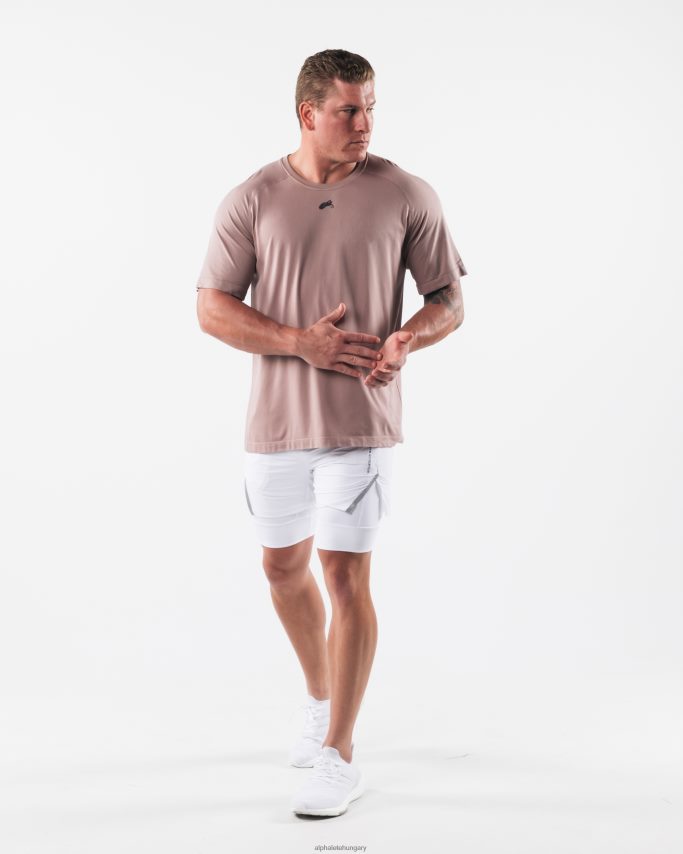 ruházat Alphalete farkasfej airtech póló porcelán barna férfiak 86B628514