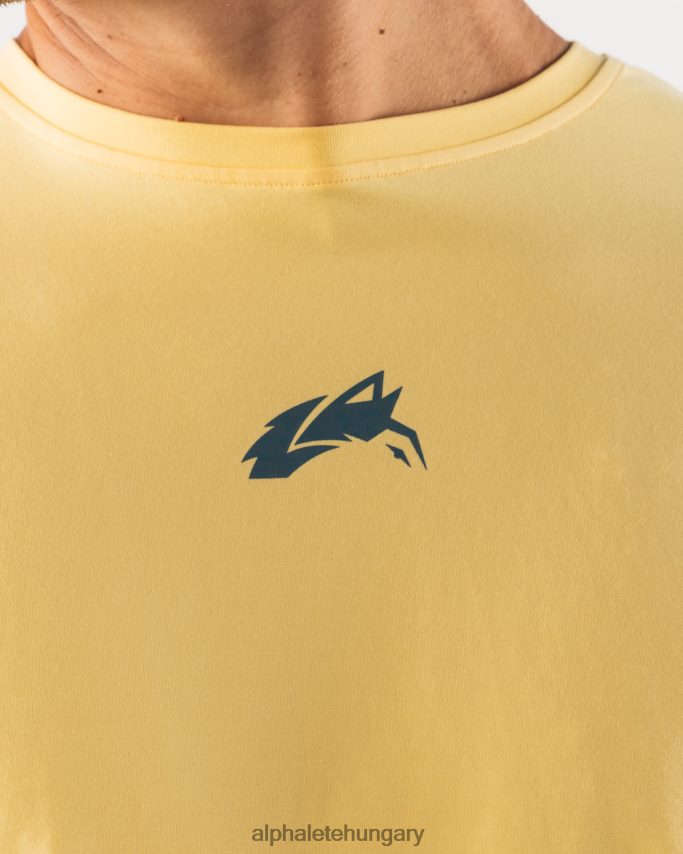 ruházat Alphalete farkasfej paisley mintás póló sárga férfiak 86B628527
