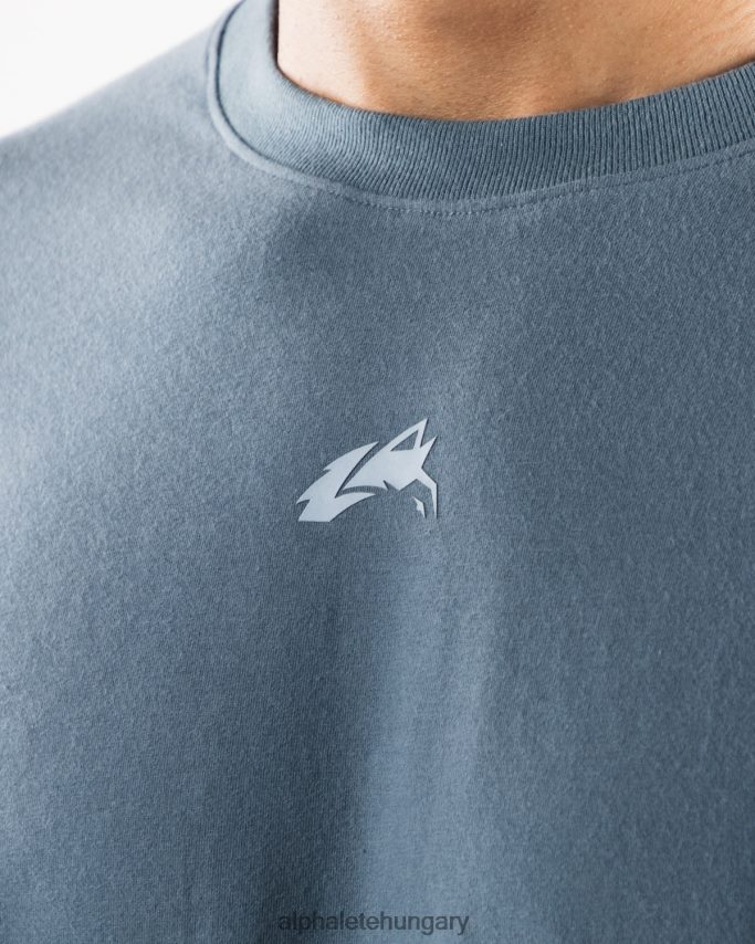 ruházat Alphalete igazított póló gleccserkék férfiak 86B628497