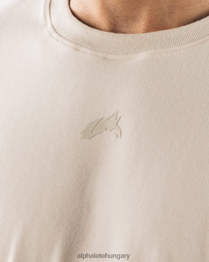 ruházat Alphalete igazított póló tengeri só barna férfiak 86B628492