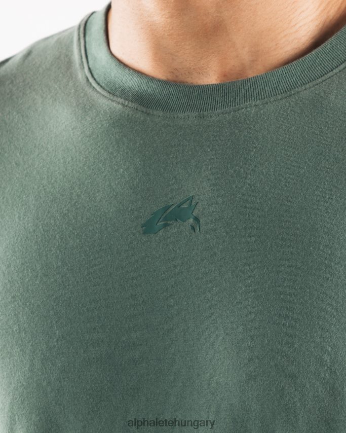 ruházat Alphalete igazított póló zsályaszínű férfiak 86B628499