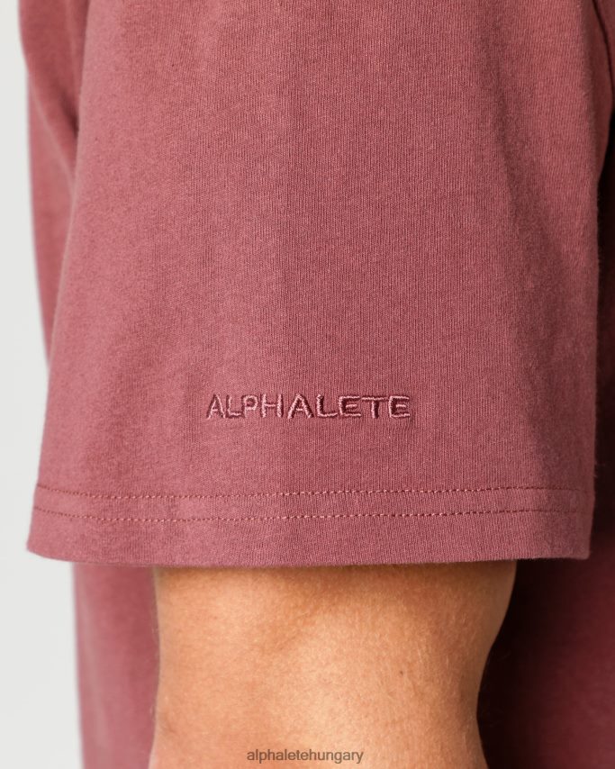 ruházat Alphalete nehéz pamut magú póló őszi vörös férfiak 86B628547