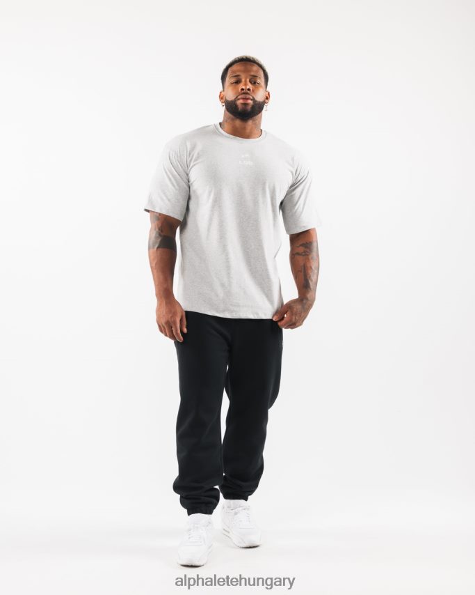 ruházat Alphalete szálcsiszolt címeres póló hanga szürke férfiak 86B628534