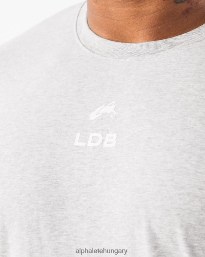 ruházat Alphalete szálcsiszolt címeres póló hanga szürke férfiak 86B628534
