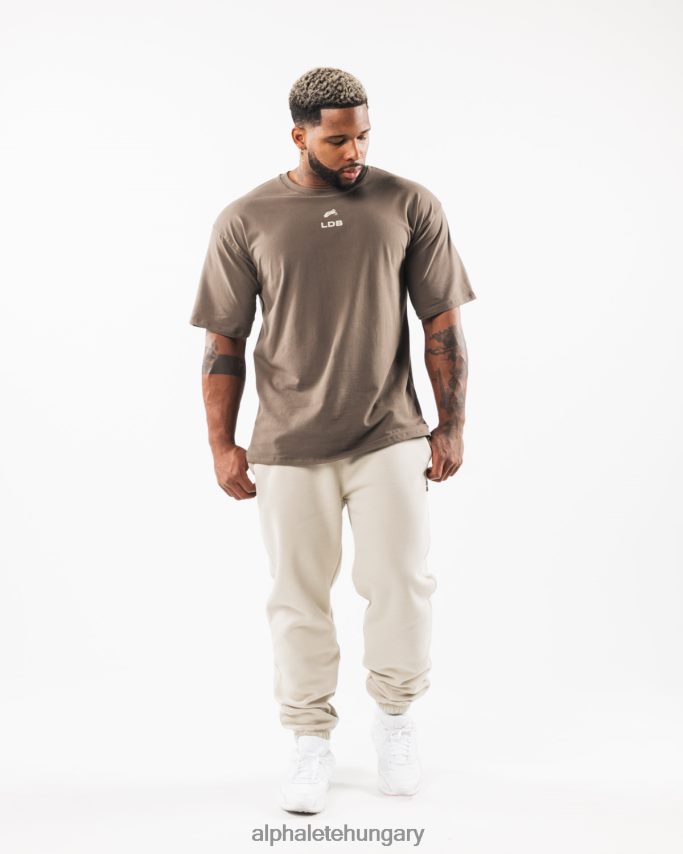 ruházat Alphalete szálcsiszolt címeres póló sivatagi taupe/tengeri kagylóbarna férfiak 86B628536