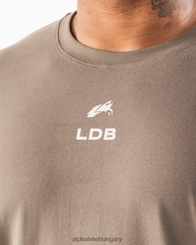 ruházat Alphalete szálcsiszolt címeres póló sivatagi taupe/tengeri kagylóbarna férfiak 86B628536