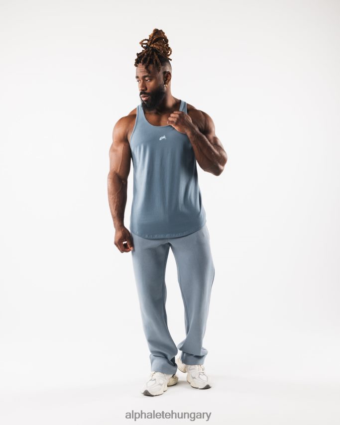 ruházat Alphalete farkasfej tank gleccserkék férfiak 86B628566