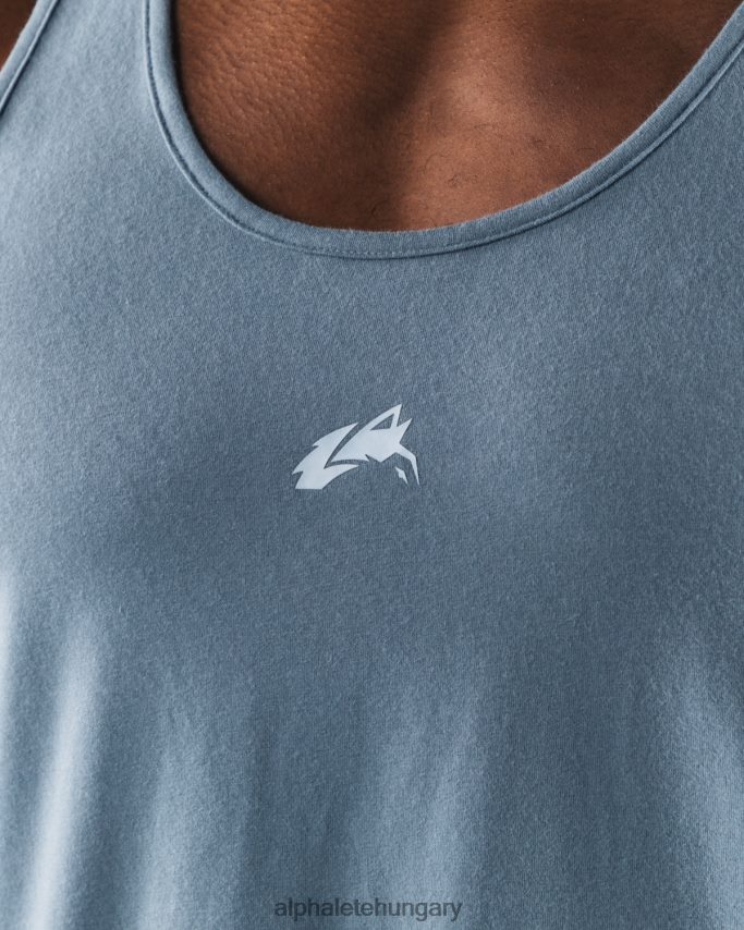 ruházat Alphalete farkasfej tank gleccserkék férfiak 86B628566