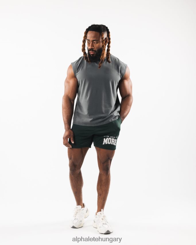 ruházat Alphalete szálcsiszolt farkasfej izomtartály füstszürke férfiak 86B628586