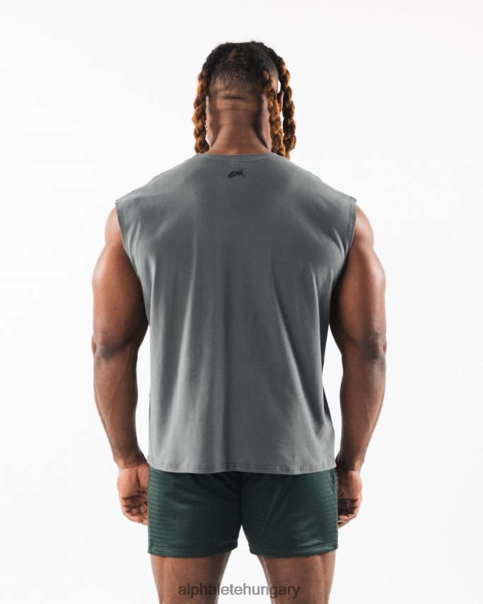 ruházat Alphalete szálcsiszolt farkasfej izomtartály füstszürke férfiak 86B628586