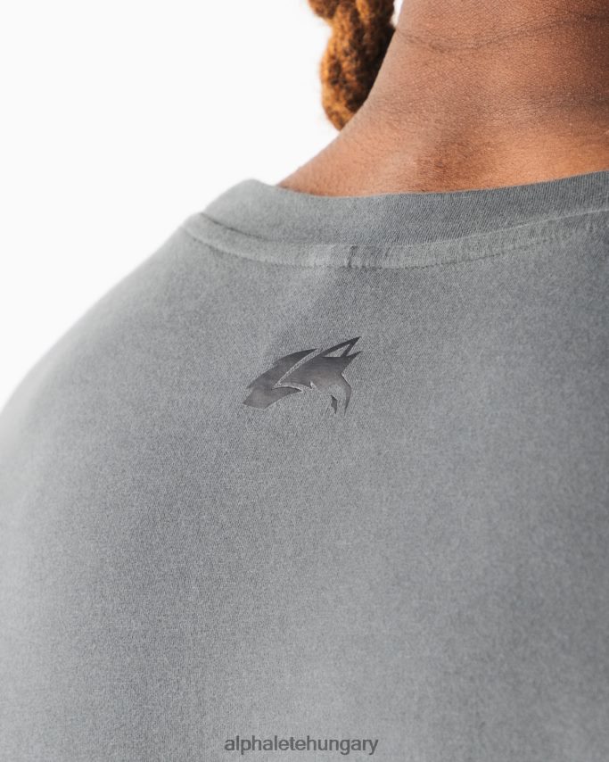 ruházat Alphalete szálcsiszolt farkasfej izomtartály füstszürke férfiak 86B628586